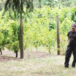 They’re not whining but COVID has caused problems for BI vintners