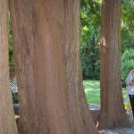 Riots, COVID-19 mean even more people want to move to BI