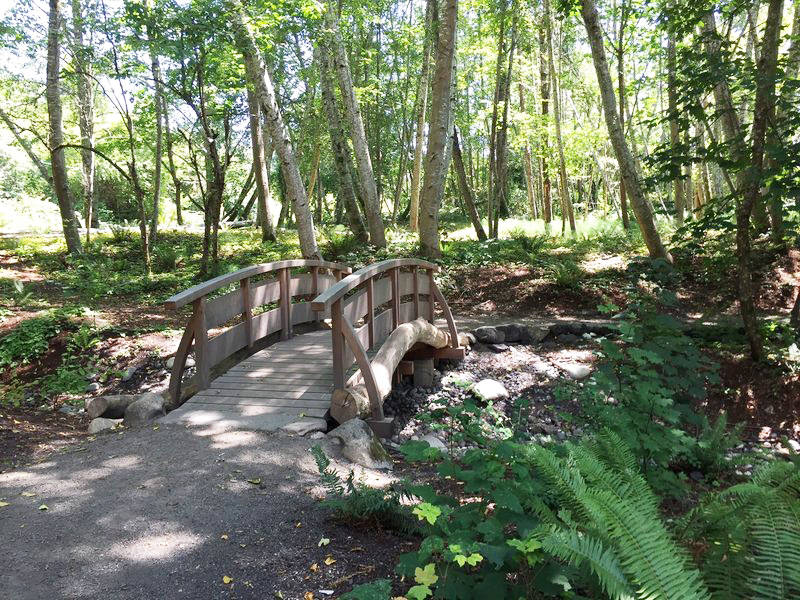 Blakely Hill Trails add 1.5 miles of public trails to island network