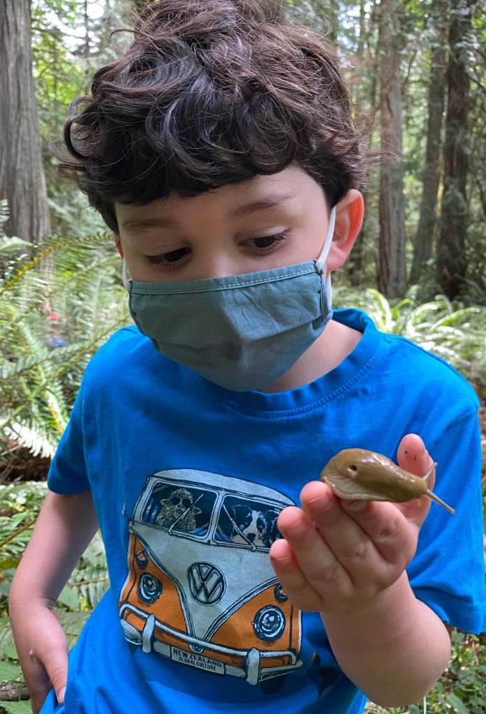 Fundraiser to help nonprofits hurt by COVID-19