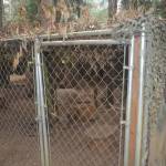 COVID making things tough at wildlife center