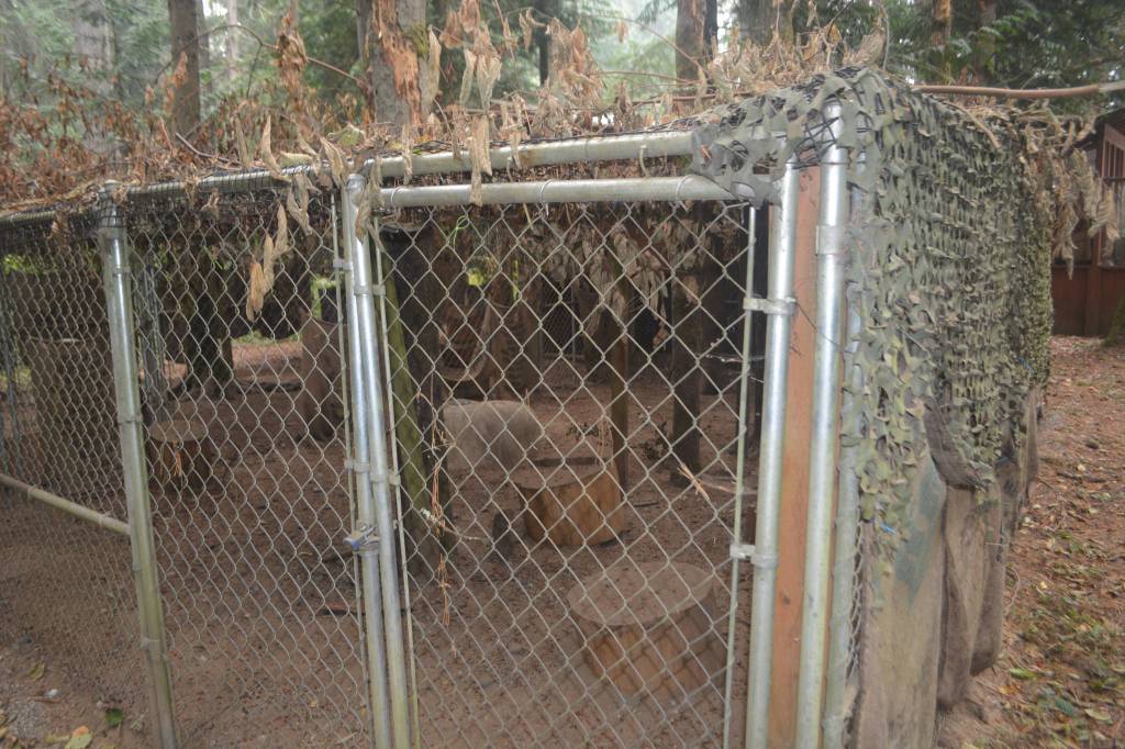 COVID making things tough at wildlife center