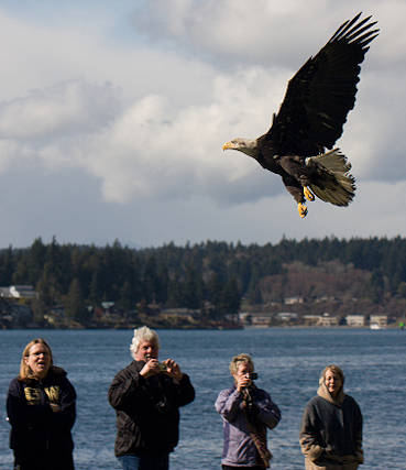 COVID making things tough at wildlife center