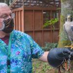 COVID making things tough at wildlife center