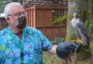 COVID making things tough at wildlife center