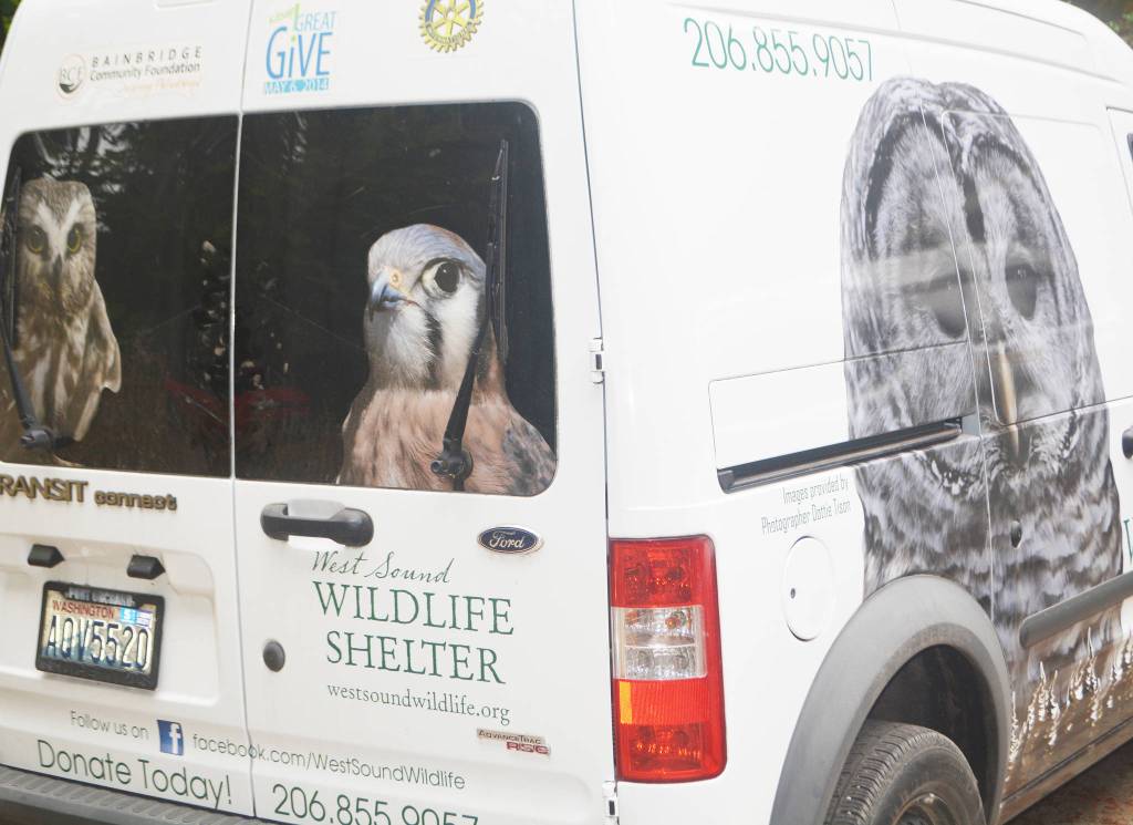 COVID making things tough at wildlife center