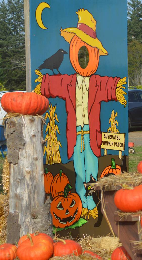 One of the hole-in-the-billboard picture locations is a scarecrow.