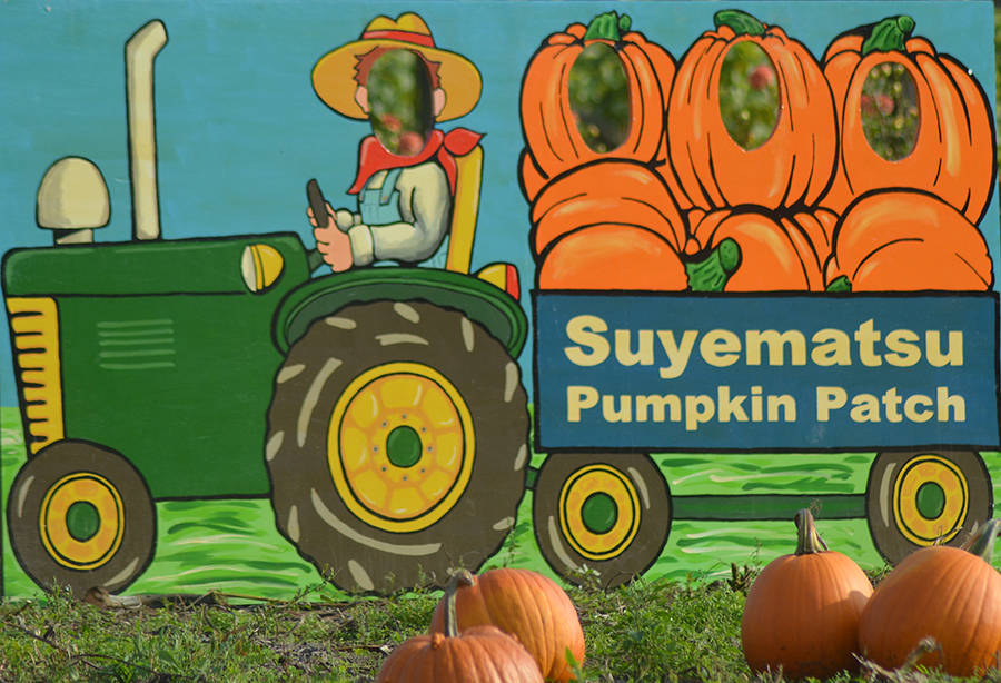 Another hole-in-the-billboard picture location is for a group of four in a tractor.