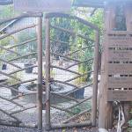 If you go through this artistic gate you will be in the garden of IslandWood.