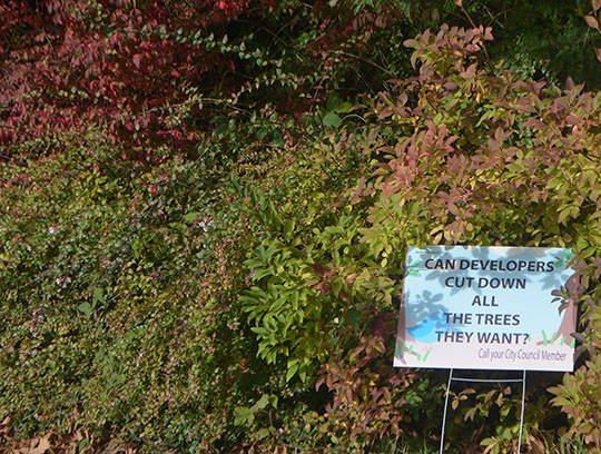 Signs like this one are all over the neighborhood.