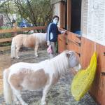 Food is put in bags to slow down their eating. They are so small they can gain weight quickly.