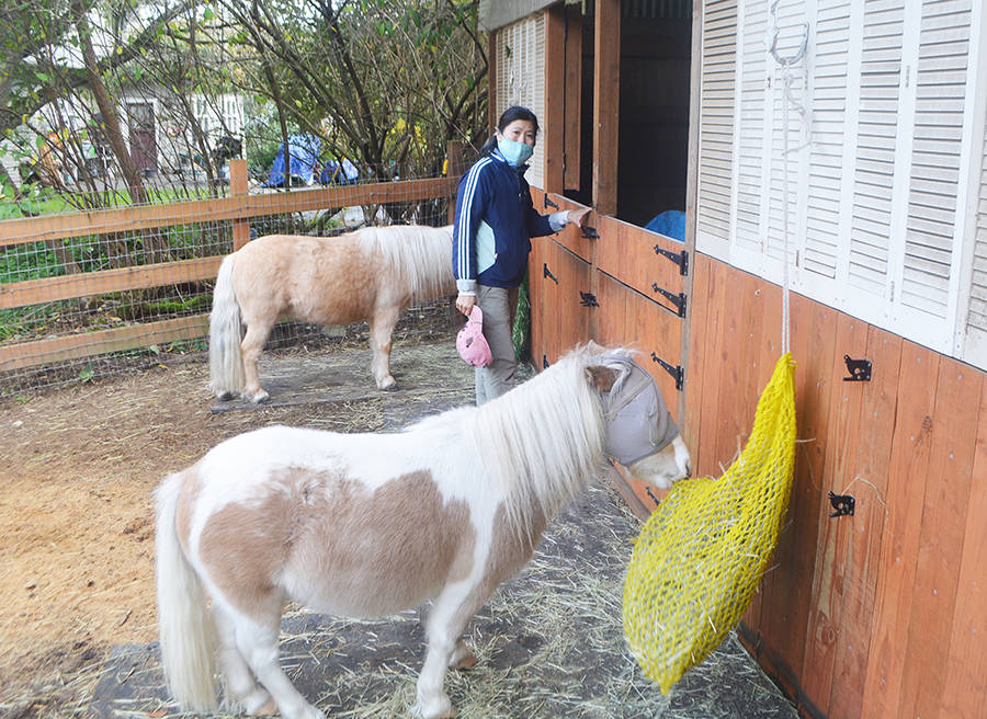 Food is put in bags to slow down their eating. They are so small they can gain weight quickly.