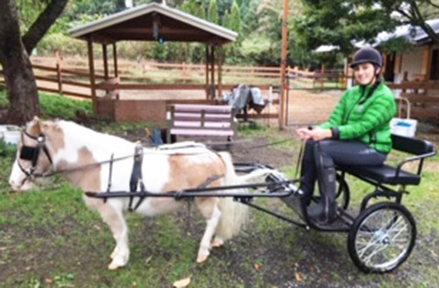 Volunteers have fun exercising the horses as they pull this cart. Courtesy photo