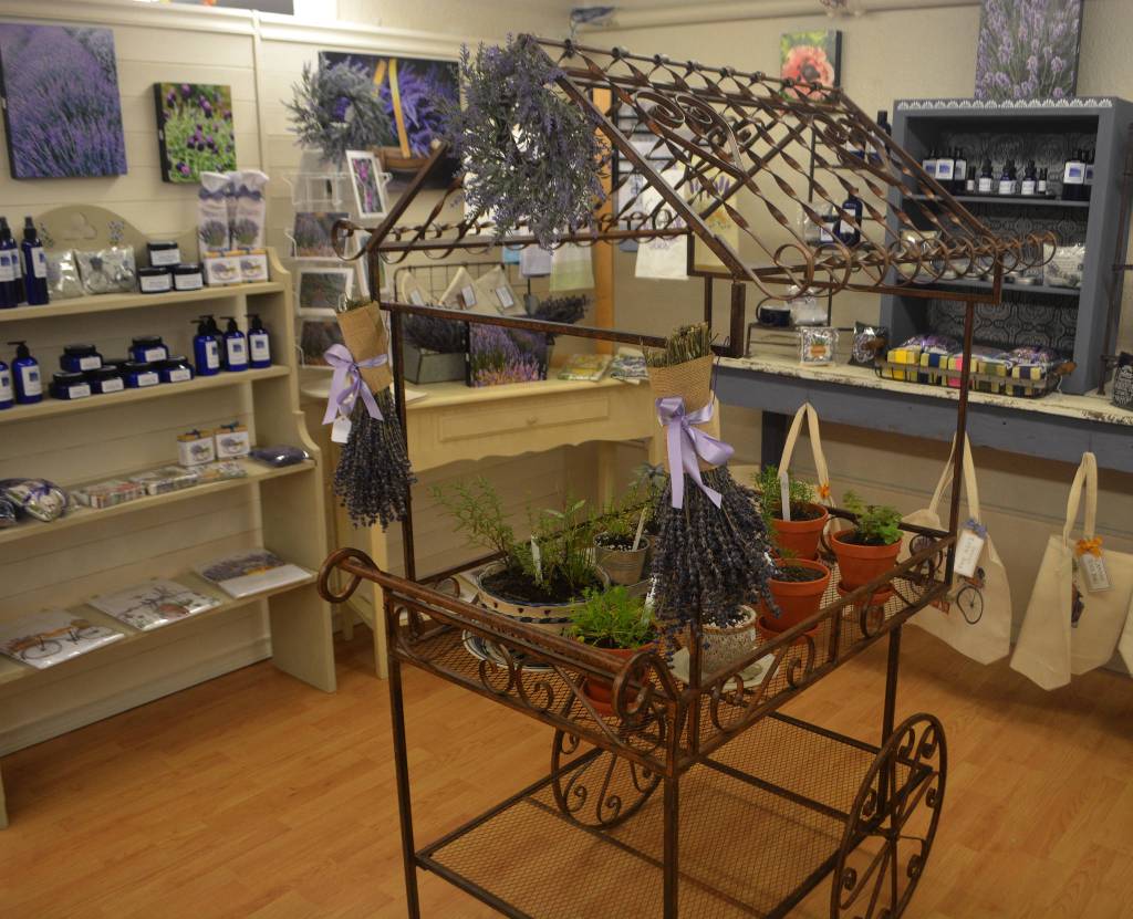 Purple and lavender are a major part of this display.