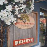 The outside of the Red Plantation.