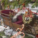 Dave Trageser says this Belgium push sled is one of his best finds currently.