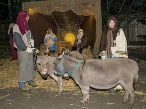 Rolling Bay Presbyterian photos from previous years.