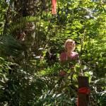 Neighbor Nina Meierding stands in the Ted Olson Nature Preserve. The post with the red ribbon marks the property line where development could occur. Courtesy photos