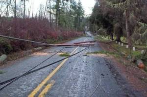 A photo posted to Bainbridge Island Fire Department's Facebook page shows downed power lines and explains the danger they pose. Courtesy photo