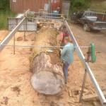 Working on a huge log.