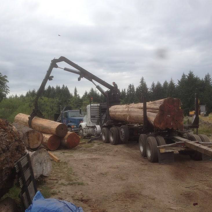 Logs are loaded onto a truck.