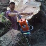 David Kotz shows the natural beauty of a tree that was cut down.