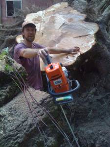 David Kotz shows the natural beauty of a tree that was cut down.