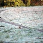 Chris DeNucci makes his way across a frosty field. MacGregor Hill/Courtesy photo