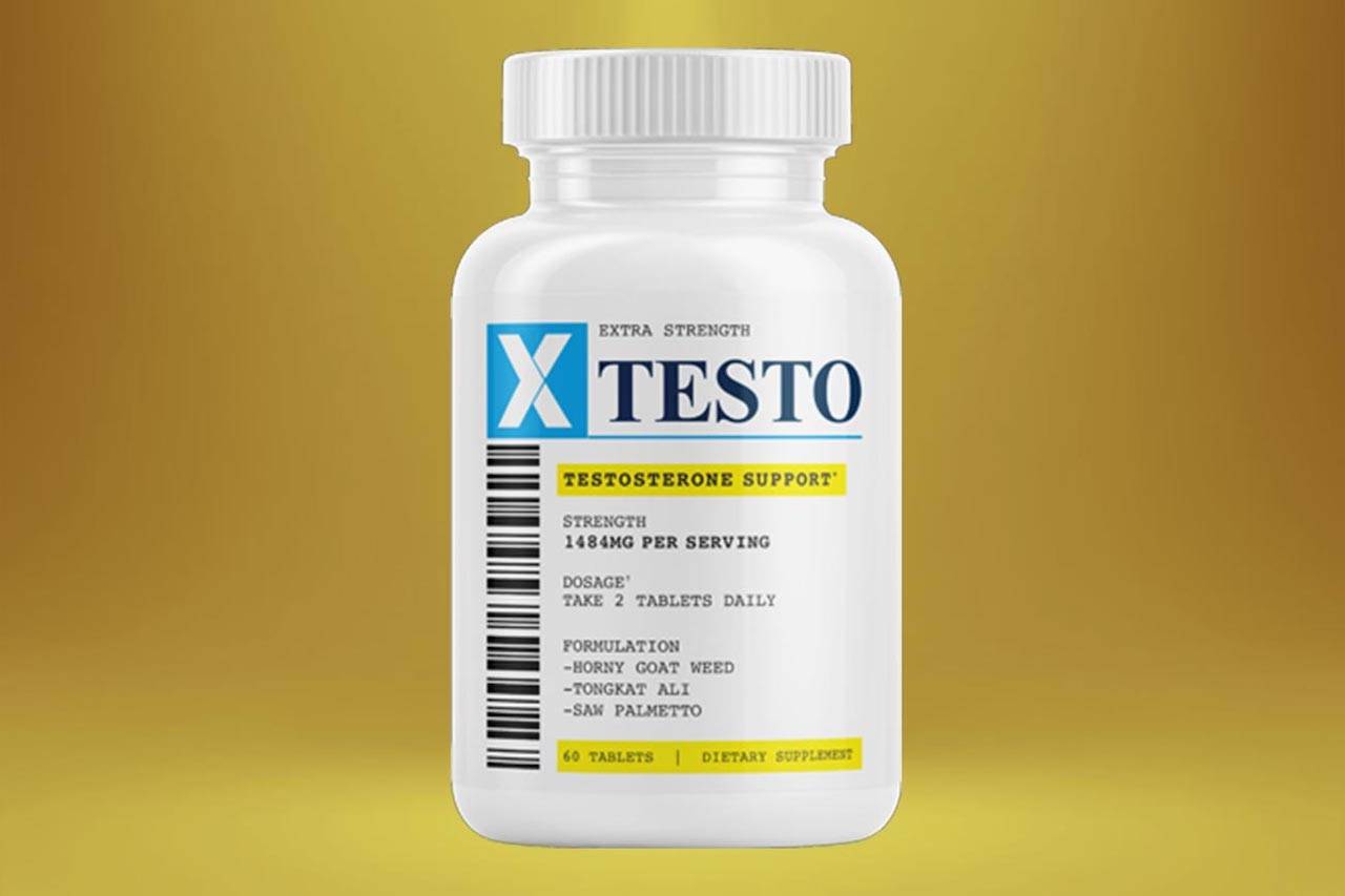 X-Testo main image