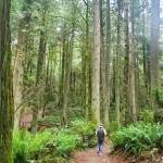 The anti-group likes the solitude of the forest. Courtesy photos