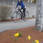 Rasham Nassar still has the bicycle she rode through 27 countries years ago.