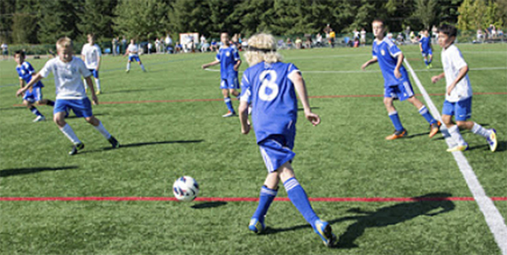 A group would like to light up the fields at Battle Point Park. Courtesy Photo