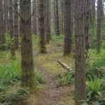 Bike trails already exist on parts of the property.