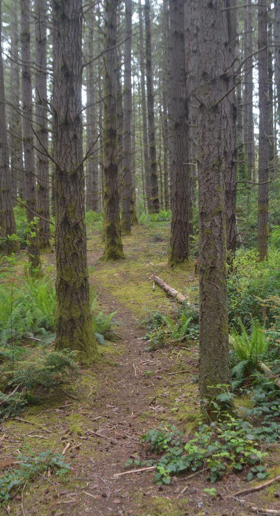 Bike trails already exist on parts of the property.