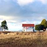 Wetland area. Annette Wright Photos