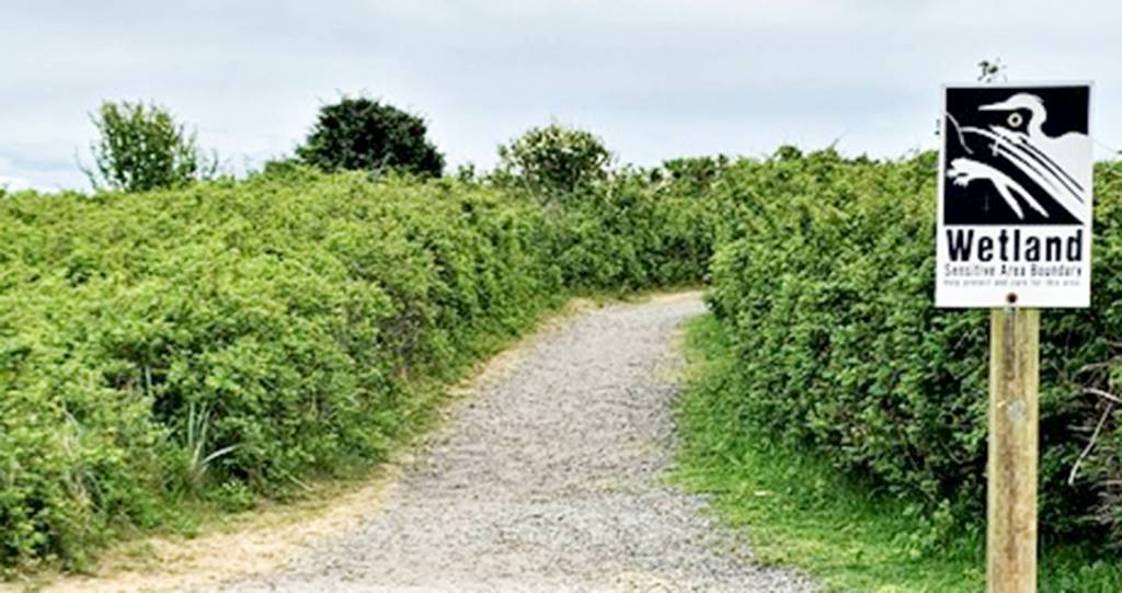 Sign points out the wetlands area.