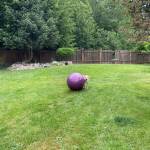 Lucy is credited with being the hero for waking up residents.