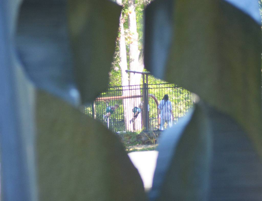 Two kids swing in a shaded playground in this photo taken through a piece of art on the BI waterfront.