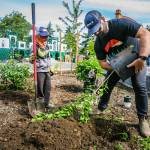 A garden is part of the new playground at Battle Point. Courtesy Photos