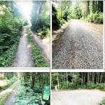 A comparison of the two roads.