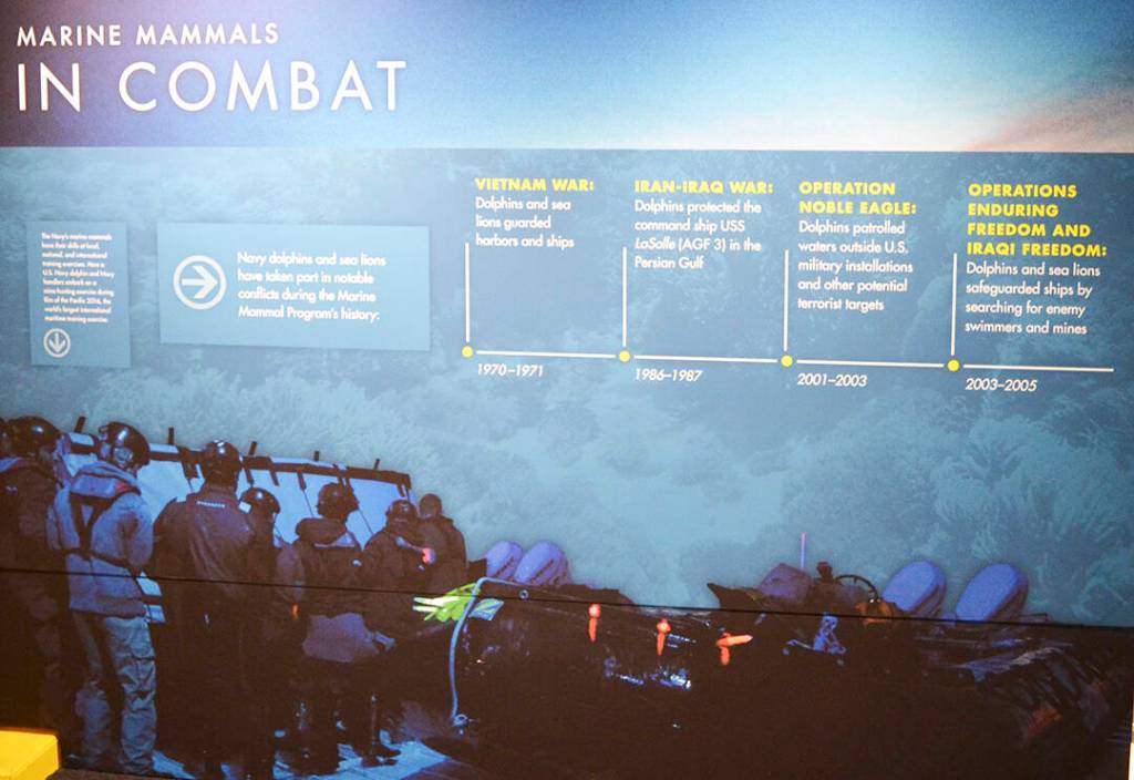 This display on Mammals in Combat is sure to be of interest.