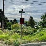 One of the signs was displayed on Viking Avenue.