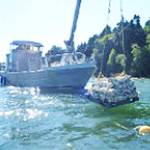 A boat works in Port Gamble Bay.