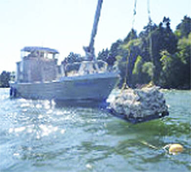 A boat works in Port Gamble Bay.