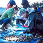 Checking out the oysters. Courtesy photos