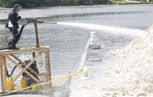 A worker at the oyster farm.