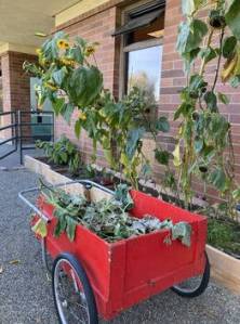 Part of the BHS garden. Courtesy Photo