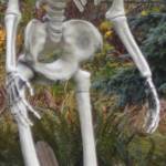 This skeleton looks like it needs quite a bit more Halloween candy. Steve Powell/Bainbridge Island Review photos