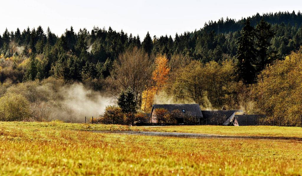 Mist rises from a farm on Bainbridge Island one morning.
