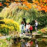 It's free to go to Bloedel Reserve on Gratitude Day. Courtesy Photo